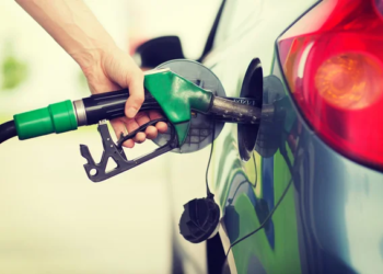 Biocombustibles: la alternativa al petróleo que puede encarecer los alimentos