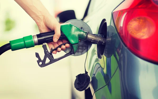 Biocombustibles: la alternativa al petróleo que puede encarecer los alimentos