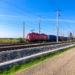 Tren de mercancías que circula por una línea ferroviaria en un entorno rural